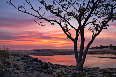 Twilight at Crab Meadow