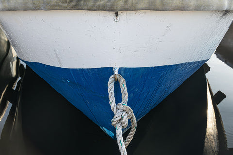 Blue Bow -  Michael Iacobellis - McGaw Graphics
