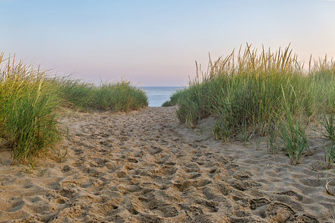 Path to the Beach -  Michael Iacobellis - McGaw Graphics