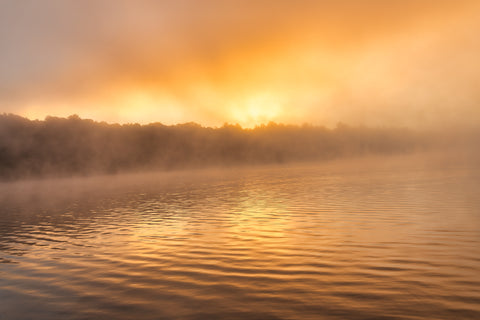 Sunlight Streaming Through the Mist -  Michael Iacobellis - McGaw Graphics