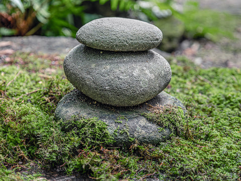 Stone and Moss Garden -  Michael Iacobellis - McGaw Graphics