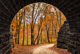 Autumn Stroll -  Michael Iacobellis - McGaw Graphics