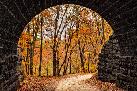Autumn Stroll -  Michael Iacobellis - McGaw Graphics