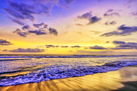Purple Hues and Golden Glow