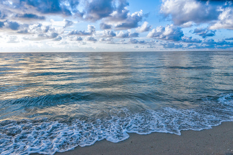 Coastal Edge