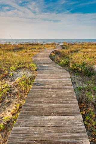 Walk to the Sea