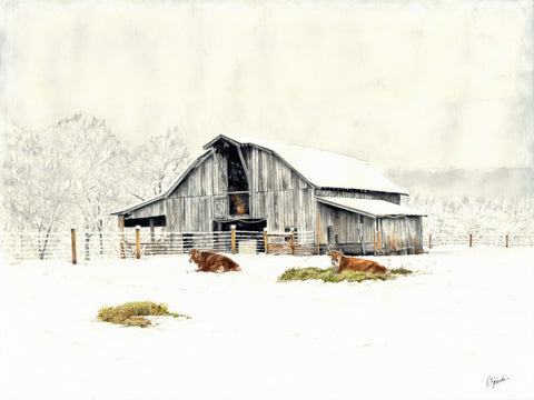 Cold Cow Barn