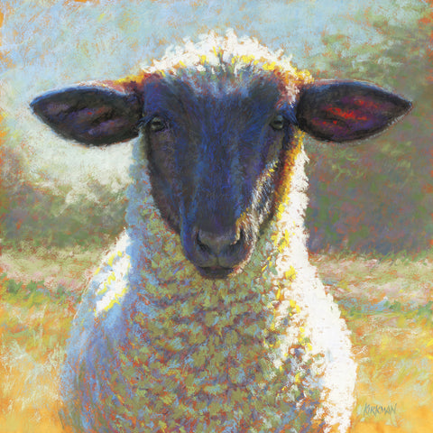 Black Face Sheep