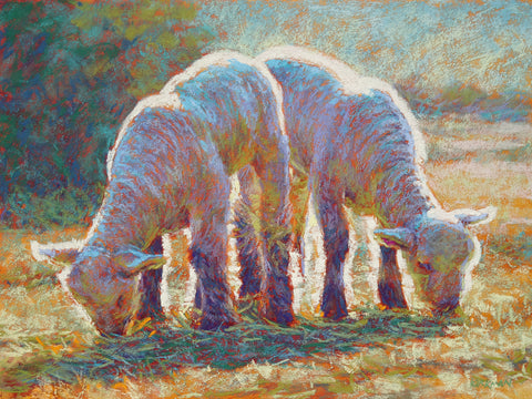 Grazing Lambs
