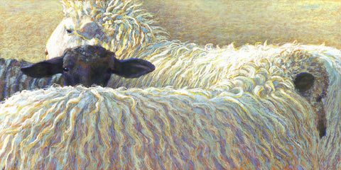 Guardian Sheep