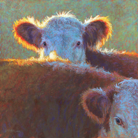 Peek-a-Moo
