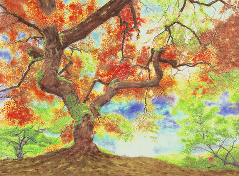 Into the Light -  Pat Konicki - McGaw Graphics