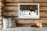 Winter Forage