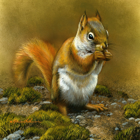 Afternoon Snacks - Red Squirrel III