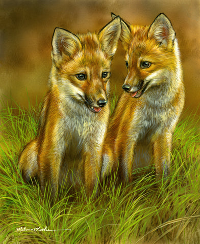 Puppy Chats - Red Fox Kits