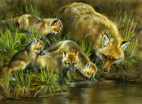 Water Play - Fox Family