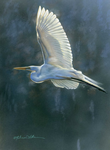 Fly Over - Egret