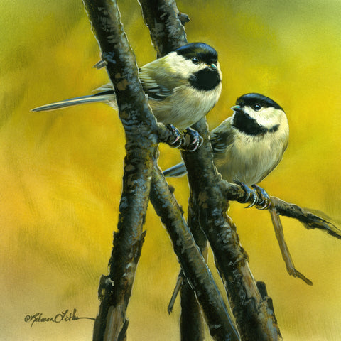 Chickadee Autumn