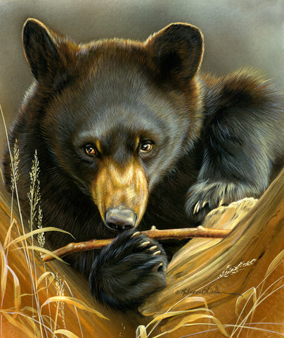 Bear Snacks - Bear Cubs