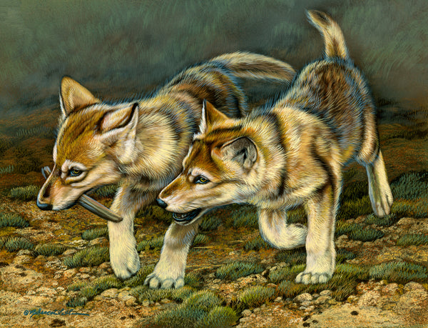 The Chase - Wolf Puppies | McGaw Graphics