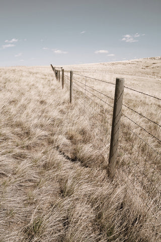 Western Fenceline