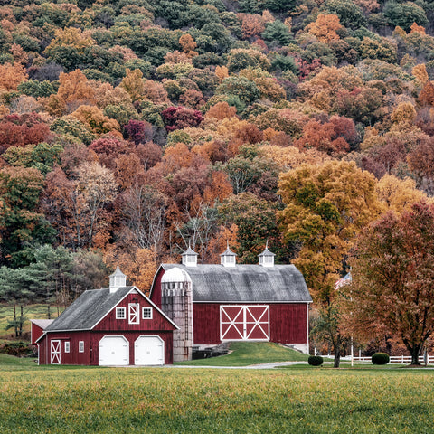 Red Farm Barn