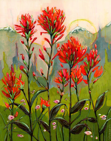 Indian Paintbrush