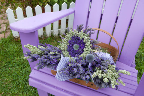 elegance lavender plant Lavender Elegance 14x21 image on 16x23 Paper