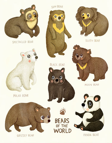 Bears of the World