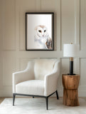 Orion Barn Owl