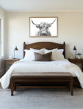 Hangus Highland Cow