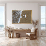 Starfish on the Shore -  Michael Iacobellis - McGaw Graphics