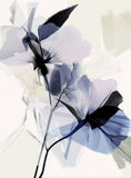 Timeless Petals 11