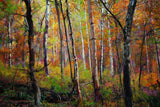 Quiet Autumn Grove II