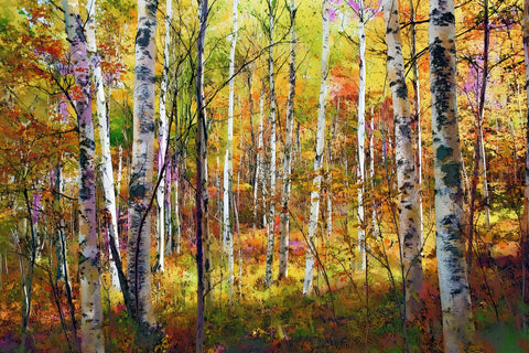 Quiet Autumn Grove III