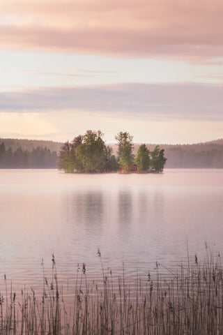 Pastel Island -  Ju Riker - McGaw Graphics