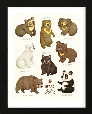 Bears of the World (Framed)
