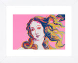 Details of Renaissance Paintings (Sandro Botticelli, Birth of Venus, 1482), 1984 (pink) (Framed)