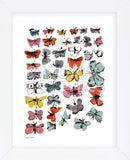 Butterflies, 1955  (many/varied colors) (Framed)