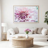 Dahlia Details I