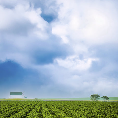 Barn on the Edge of the Field