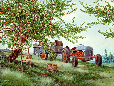 Gathering Apples