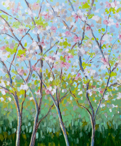 Cherry Trees