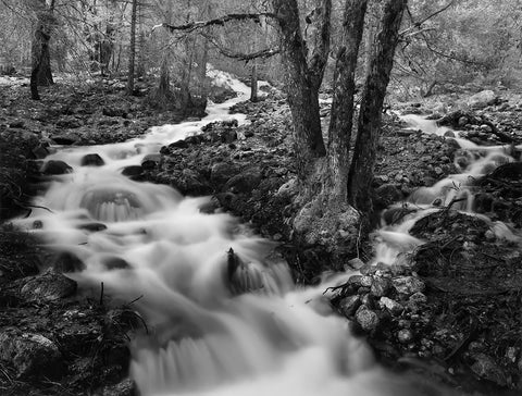 Sentinel Creek, Yosemite, Ca