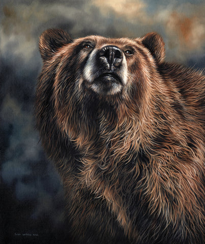 Brown Bear II