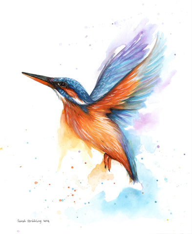 Kingfisher Watercolor