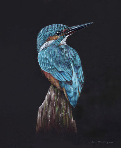 King Fisher Branch