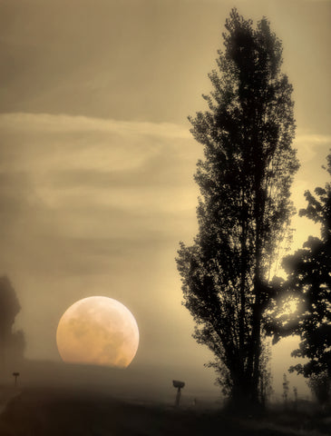 Daybreak on a Country Road -  Don Schwartz - McGaw Graphics