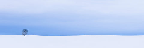 Blue Horizon Beyond the Snowfield -  Don Schwartz - McGaw Graphics