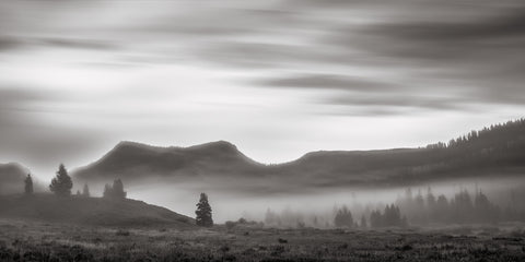 Between Light and Fog II -  Don Schwartz - McGaw Graphics